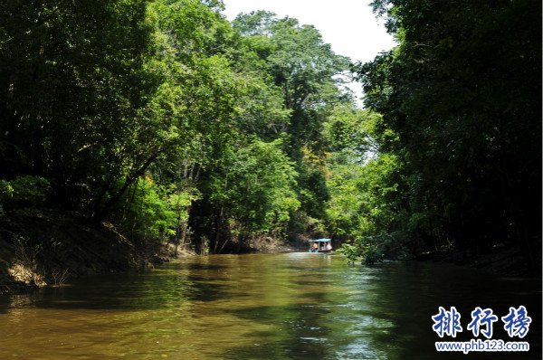 世界上面积最大的河，亚马逊河（流域面积705万平方千米）