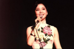 华语女歌手排行榜 王菲上榜,第一是众人的女神