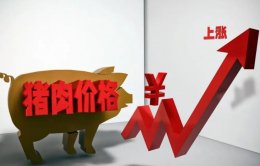 国内猪肉价格开再次长高？专家：国家调控政策